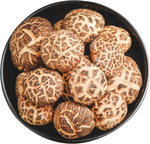 甄选茶花菇│Selected Dried Tea Flower Mushroom 500g